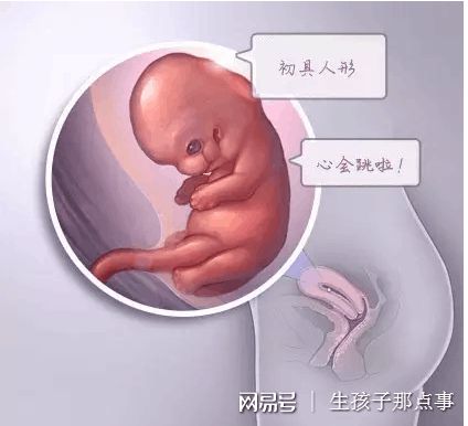 墨序生殖医学中心